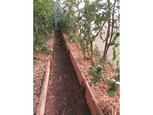 IMG 20160704 070346.jpg