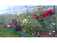 ������� (38).JPG