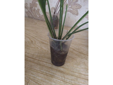 ��� ����� - ���������� �������� ������ ����� - ��� �����