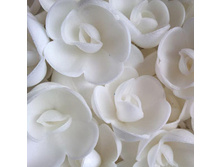 ������ 13*071*RG "������� ����"