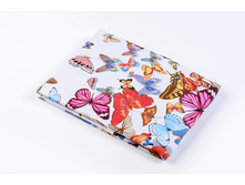 Butterfly ������������.JPG