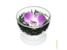 ���������� �� ������� (���. CuSO2) - 433 ���+%.jpeg