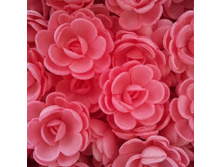 ������ 13*02*6RX "���� �����"