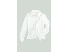 ���. 991 DLG.jpg