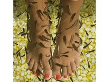 4.gif