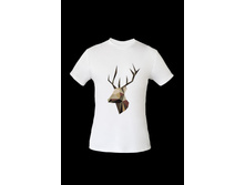 �������� ���. 9277.jpg