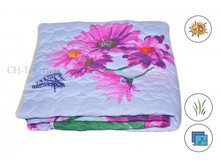 ������ ������ ������ � �������� ������� �� ��������� ����