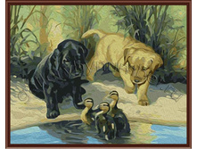 GL8443 ������� � �����.jpg