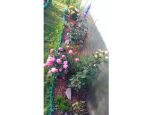 ������� (20).JPG