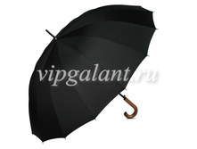 ���� ������� 343 Dolphin ������ ������� 16 ���� �������������