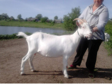 ������ 1 ���