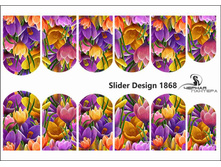 1868 �����