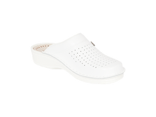 1700�. ��� 4305.png