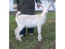 ����� 2 ���