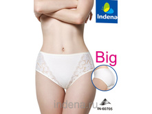 INDENA ����� ������� ����� ������ ���.60705 -170 ���