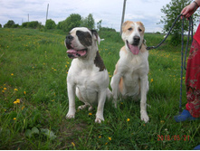 IMG 20160811 173821 27.jpg