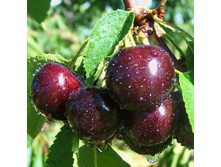 ����� �������� 1,6� (������� 5��) 360���..jpg