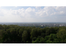 20160731 131753.jpg