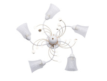 356018105 2100�.jpg