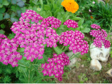 ������������� �������� �������� 90