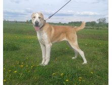 IMG 20160811 173727 16.jpg