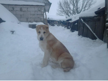 IMG 20160811 174016 62.jpg