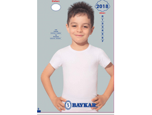 �������� 2018.png