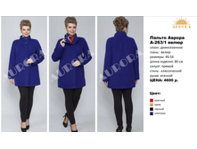 �263-1 �����.png