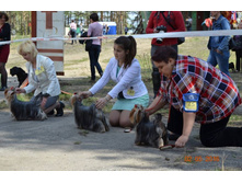 13095781 2038684449689997 6001590580868975054 n.jpg