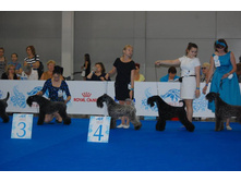 13537549 1034346499947529 2215478282839306252 n.jpg