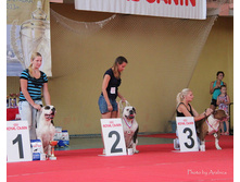 IMG 20160811 174319 3.jpg