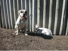 IMG 20160811 174620 110.jpg