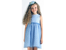 �-658 ������ �������, ���������