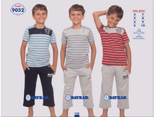 �������� 9052.png