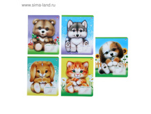 ������� 12 ������ ������ ���������, �������� �������, 5 ����� ���� ���.834060 ���� 6,06 ���, �� 20 �� ������! ������!.jpg