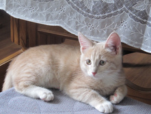 ������ 794.jpg