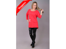 �0038, 420���, 42-52��.