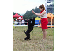 13615006 2081350005423441 8942414723773700531 n.jpg