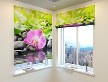 ������������ �������.jpg