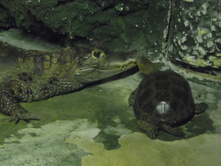 ��� ������!