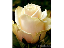 ����� (����)jpg