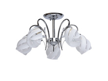 676010205 2750�.jpg