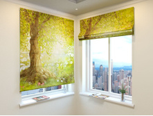 �������� ��������� ���.jpg