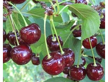 ����� �������� 1,6� (������� 6��) 360���.jpg