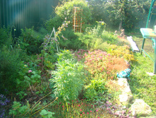 DSC05153 - �����.JPG