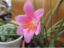 ����� 001.jpg