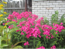 ����� 027.jpg