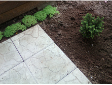 IMG 20160724 170654.jpg