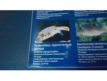 P 20160622 101753.jpg