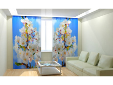 �������� ������.jpg